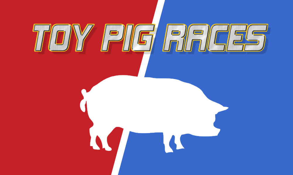 Toy Pig Races November 5th Mount Carmel Senior Living