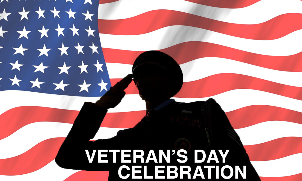 veterans day event for seniors st charles o'fallon mo